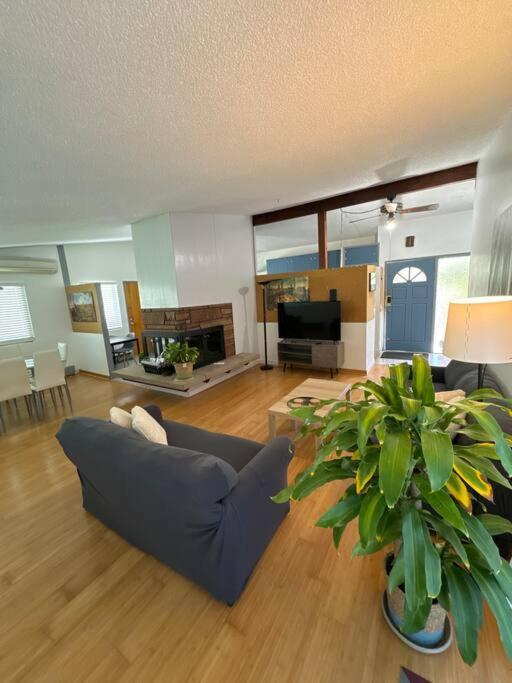 Entire 3 Bds 2 Bats Appartement *